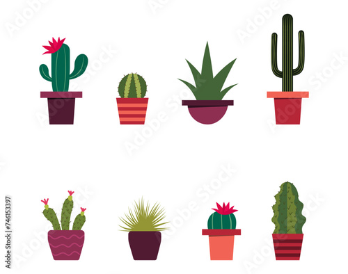 A set of cacti in a flat style. Vector illustration.