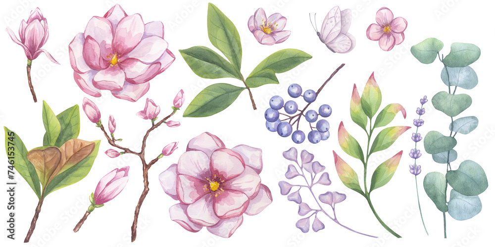 Large set of pink magnolia, eucalyptus, lavender, apple tree, butterfly. Blue dogwood berries. Greenery foliage blueberry clipart. Hand drawn watercolor illustration background.