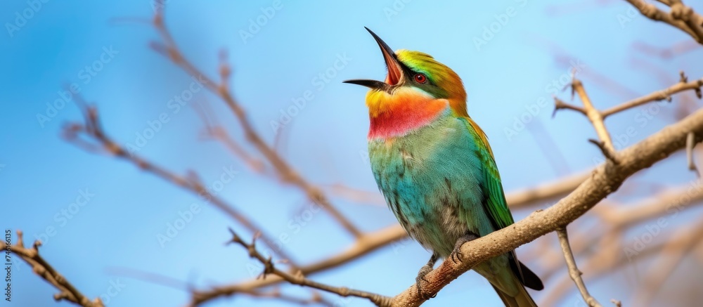 A vibrant, colorful songbird sits on top of a tree branch, singing against the backdrop of the sky. A vibrant, colorful songbird sits on top of a tree branch, singing against the backdrop of the sky.