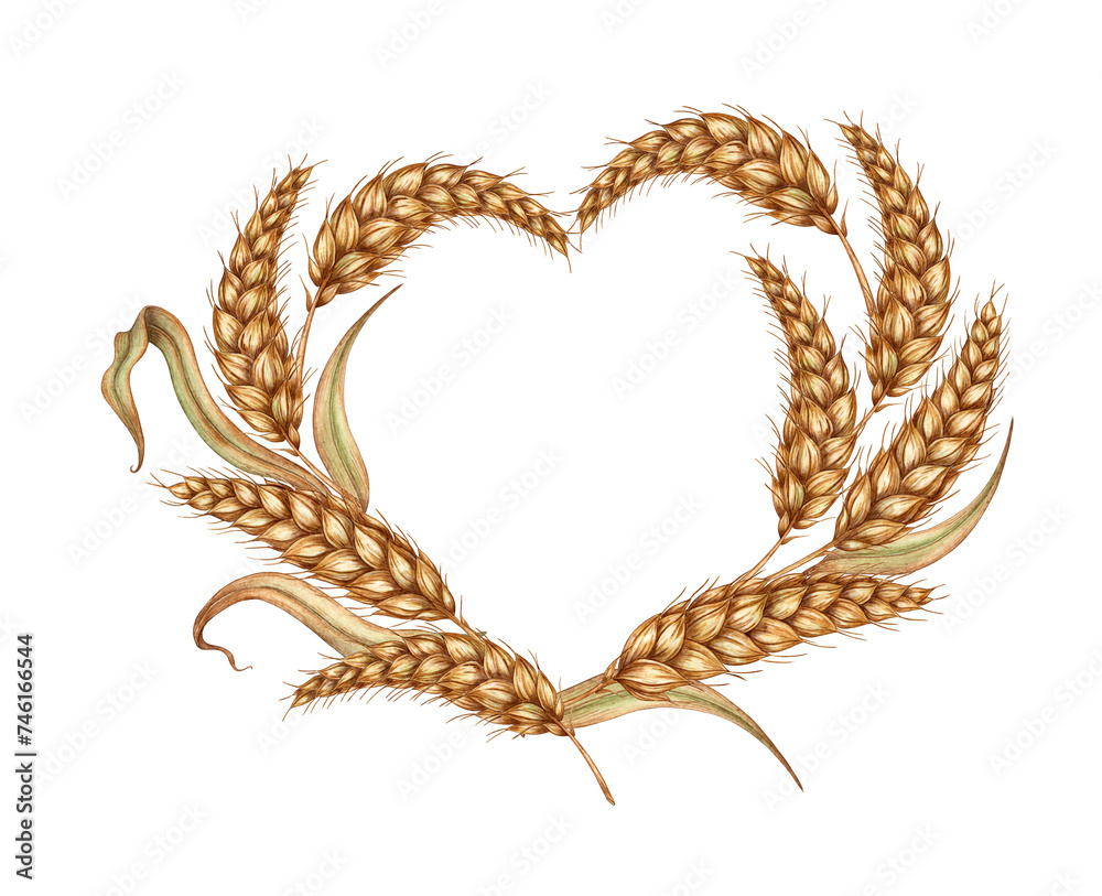 Watercolor illustration of a heart-shaped frame made of golden ripe ears of wheat. Frame of cobs isolated on white background. For menus, banners, poster printing, recipes, labels, packaging design.