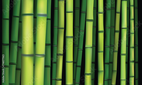 bamboo stems green color vector for background design isolated on black background.