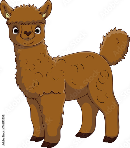 Cute alpaca cartoon on white background