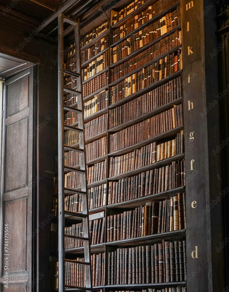 Bookshelf in old library