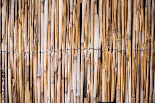 A full frame of a bamboo screen, showcasing the varying tones and textures of the bamboo sticks tied together