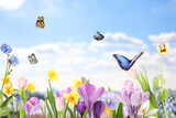 Spring season. Beautiful blooming flowers and butterflies under blue sky