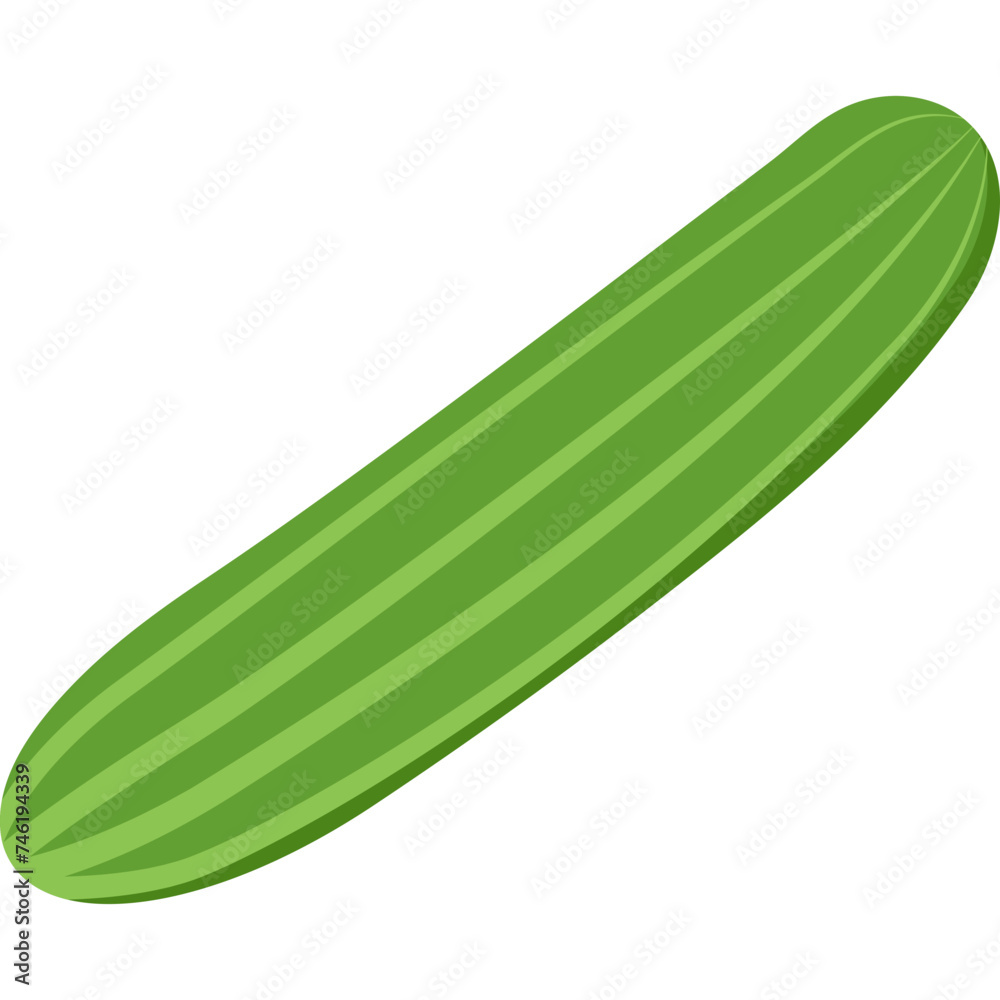 Vegetable Simple Illustration