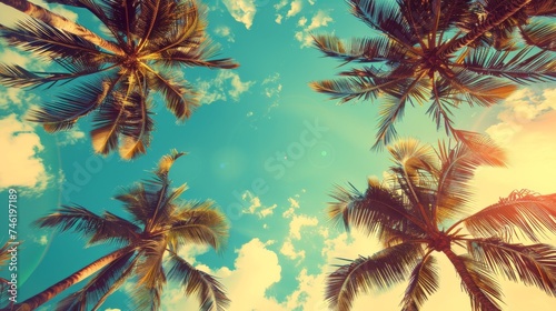 Vintage blue sky and palm trees view from below © Media Srock