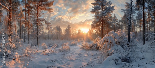 Bright panoramic sunrise in winter forest with snow background © Media Srock