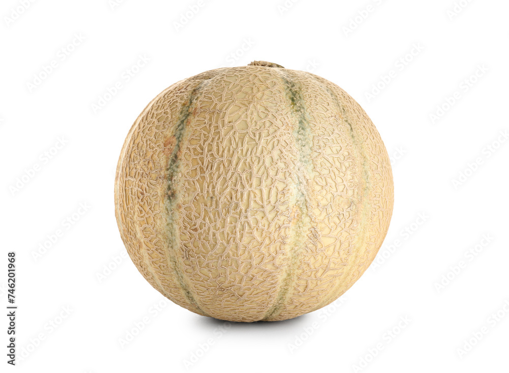 Sweet melon on white background