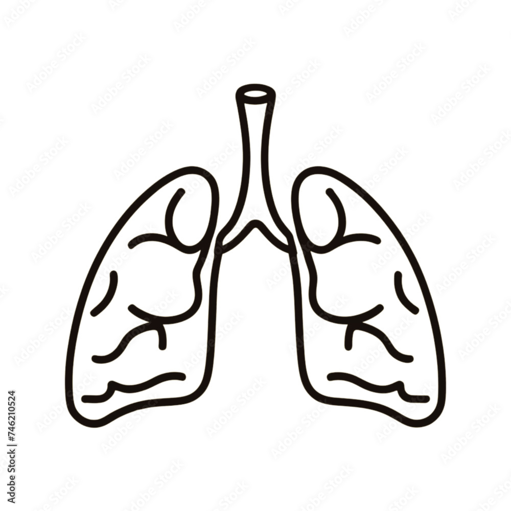 Fototapeta premium Lungs vector illustration