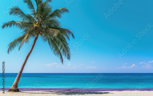 Palm tree on tropical beach wallpaper banner with empty space for copy