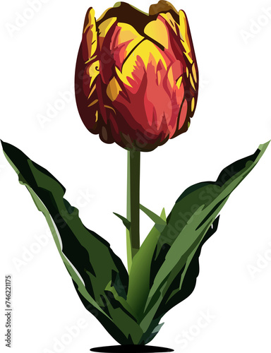 Bright tulips #746221175