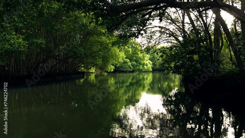 Explore breathtaking aerial views of lush mangrove forests captured with precision by our cutting-edge drones.