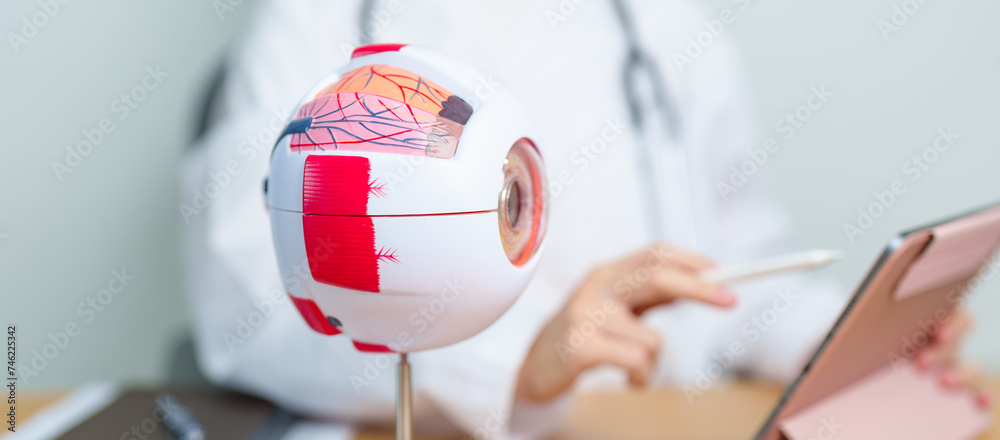 Doctor with human Eye anatomy model with magnifying glass. Eye disease, Refractive Errors, Age Related Macular Degeneration, Cataract, Diabetic Retinopathy, Glaucoma, Amblyopia, Strabismus and Health - obrazy, fototapety, plakaty 