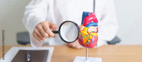 Doctor with human Heart anatomy model and magnifying glass. Cardiovascular Diseases, Atherosclerosis, Hypertensive Heart, Valvular Heart, Aortopulmonary window, world Heart day and health concept photo