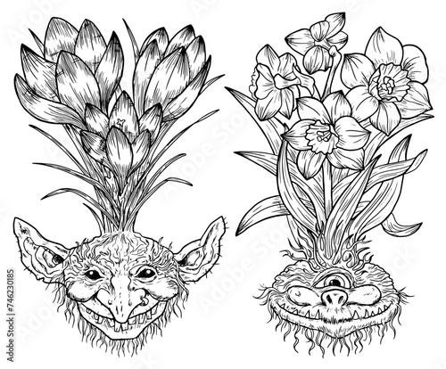Hand drawn engraved vector set with funny demon or gnome faces as roots of beautiful spring flowers of Crocus and Narcissus photo