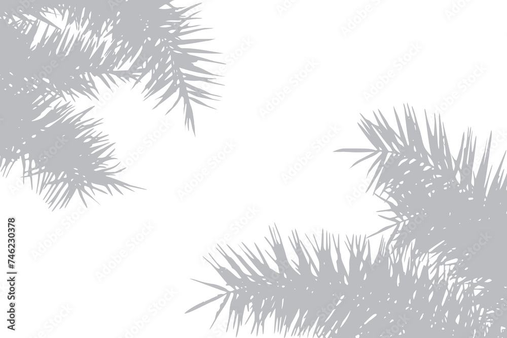 Abstract background of palm leaves. Natural pattern, gray shadow. Copy space or empty. For advertisements, business cards, brochures transparent backgrounds and png