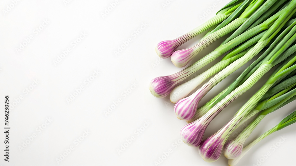 Fresh purple striped garlic bulbs with green stems arrayed neatly on a white background, ideal for culinary themes and healthy eating concepts