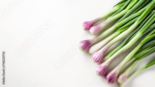 Fresh purple striped garlic bulbs with green stems arrayed neatly on a white background  ideal for culinary themes and healthy eating concepts