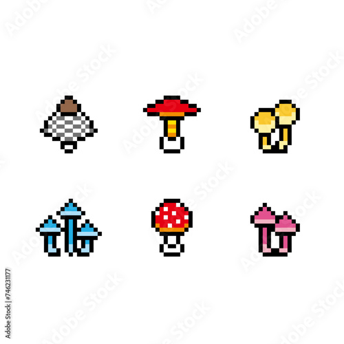 6種類のキノコのピクセルアート