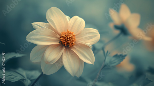 Apply a solarization effect to your flower photos during post-processing