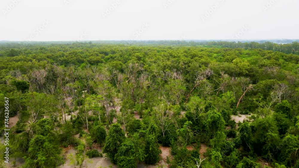 Aerial view of the expansive mangrove forest near Kuakata beach, adjacent to Sundarbans Aerial view of the expansive mangrove forest near Kuakata beach, adjacent to Sundarbans