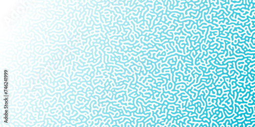 Turing Abstract Pattern, suitable for any business. White and blue color diffusion reaction seamless pattern.An abstract Reaction-diffusion or Turing pattern formation, coral reef, natural ..