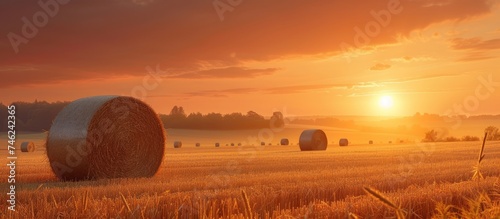 A stunning image of a field at sunset, featuring neatly arranged hay bales against a backdrop of an orange sky, ideal for autumn-themed wallpapers and montages.