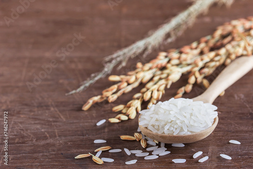 Close up jasmine rice, wheat or paddy rice on wooden table