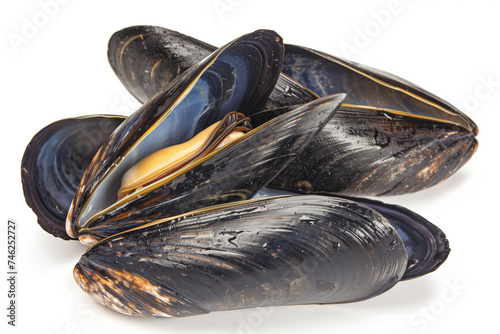 A group of dark-shelled mussels, with one open isolated on white background