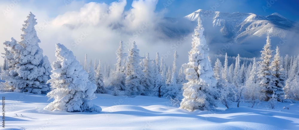 A snow-covered mountain stands tall in the background, with dense trees in the foreground covered in a layer of fresh snow. The contrast between the white snow and dark green trees creates a stunning