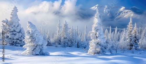 A snow-covered mountain stands tall in the background, with dense trees in the foreground covered in a layer of fresh snow. The contrast between the white snow and dark green trees creates a stunning