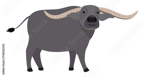 Side view of smiling water buffalo on transparent background. PNG file