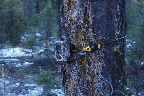 A trail camera fitted on a tree with a master lock photo