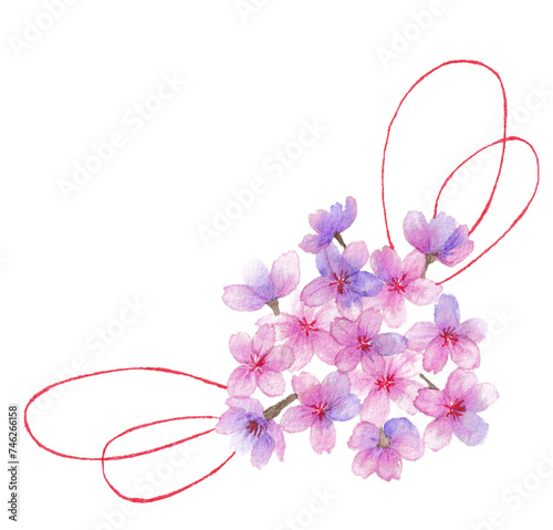 水彩で描いた桜のくす玉のイラスト photo
