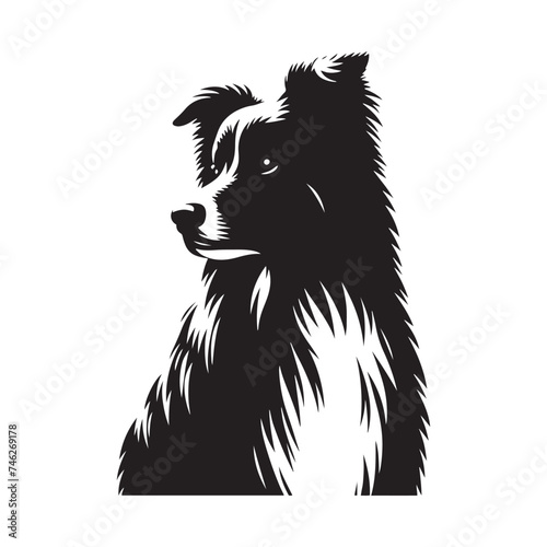 Graceful Herding: Vector Silhouette of Australian Shepherd - Capturing the Elegance and Vigilance of this Beloved Working Dog Breed. Vector Australian Shepherd silhouette.