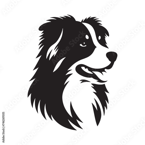 Graceful Herding: Vector Silhouette of Australian Shepherd - Capturing the Elegance and Vigilance of this Beloved Working Dog Breed. Vector Australian Shepherd silhouette.