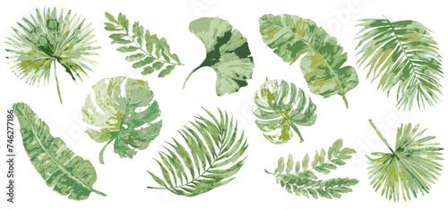 set of tropical exotic jungle leaves in green wet watercolor. photo