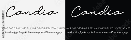 signature Font Calligraphy Logotype Script Brush Font Type Font lettering handwritten