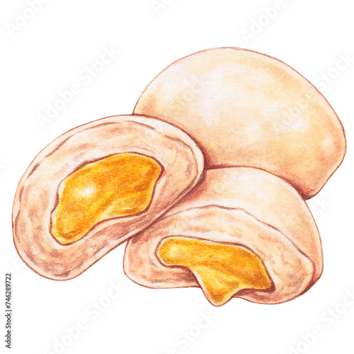 egg yolk, steamed custard bun watercolor style, traditional asian food design