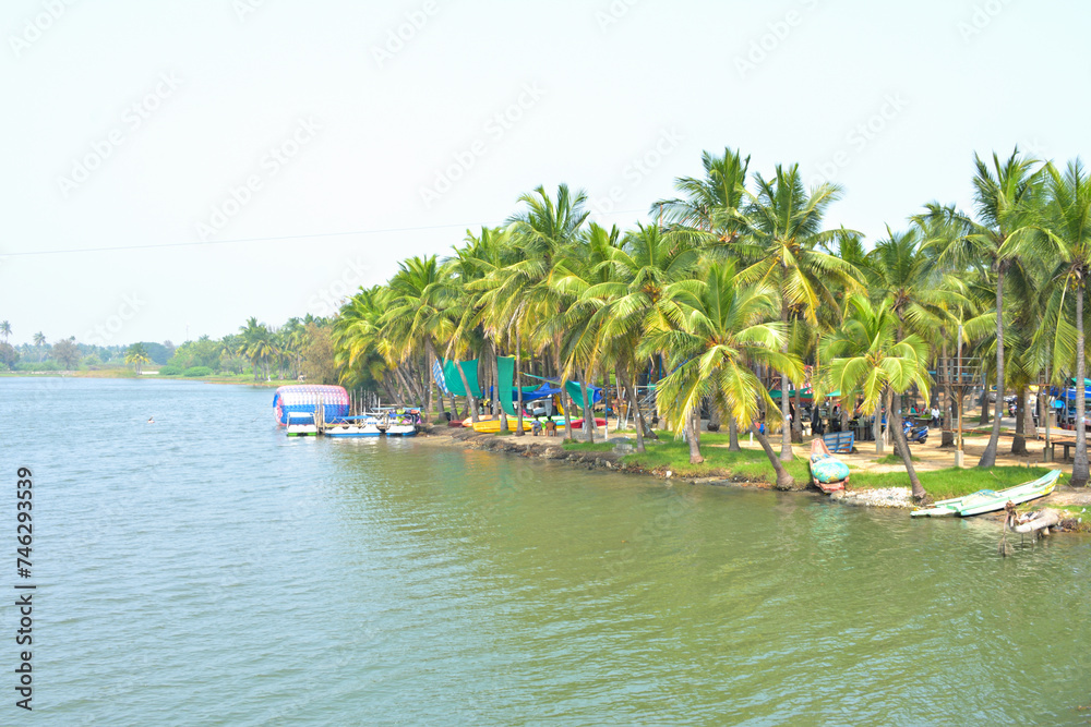 Arial view of beach with coconut trees.