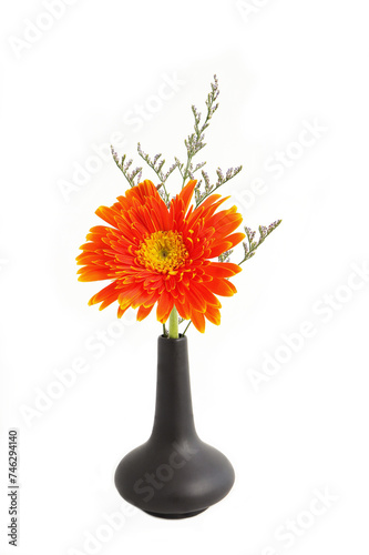 Bright orange Gerbera flowers heads and Caspia flowers in vase on white background. Beautiful bright gerbera flowers