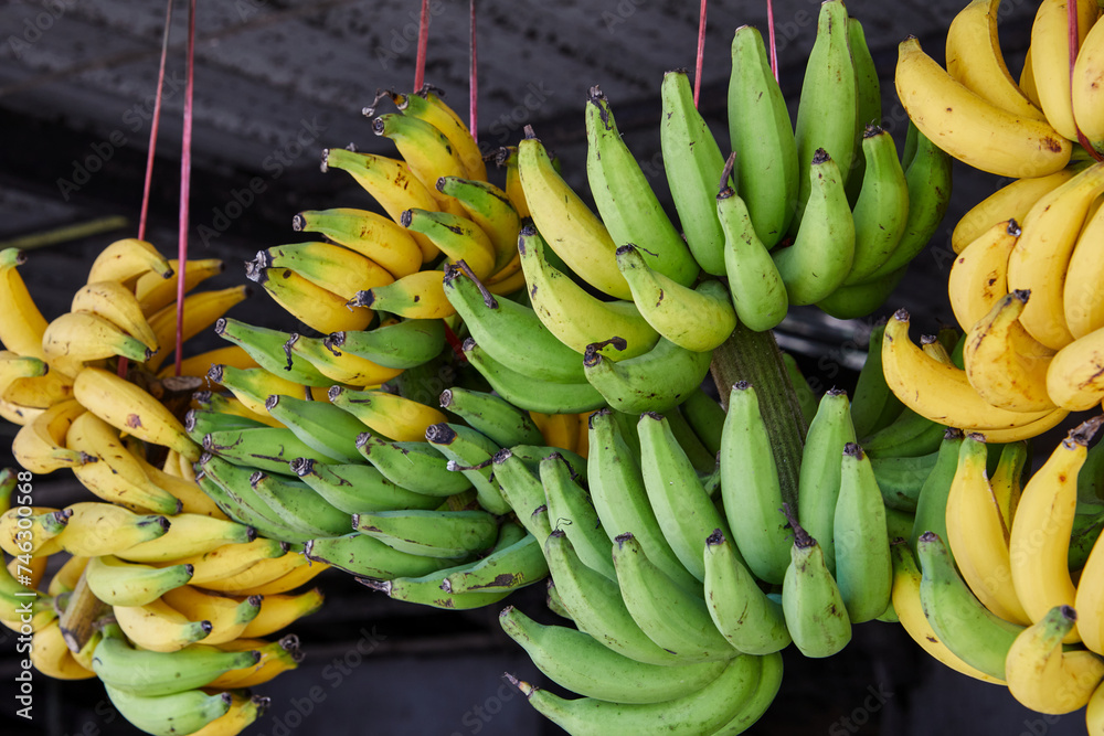 Bunch of ripe and raw bananas for sale at market stall