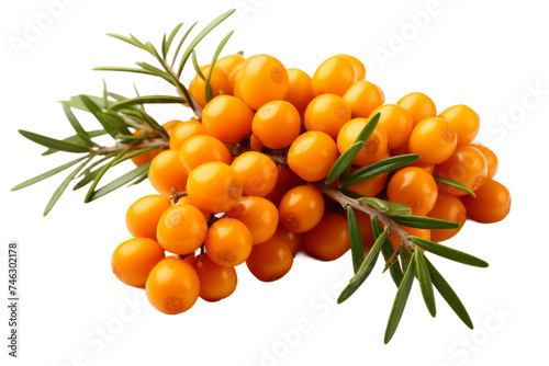 A cluster of ripe orange berries surrounded by lush green leaves. The berries are bunched together, creating a visually striking contrast against green foliage. On PNG Transparent Clear Background.