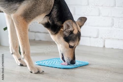 cute dog using lick mat for eating food slowly
