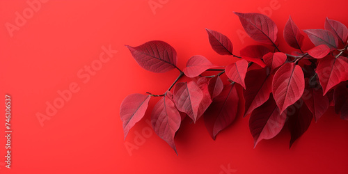The fresh tropical red leaves background ,Leaf red background border design with copy space 