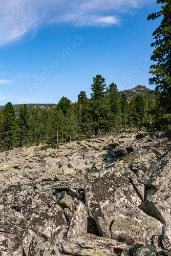 lie of ground: Accumulations of sharp-angled stone blocks, ridge of rocks in coniferous forest at background. Natural summer landscape, blue sky. kuturchinskoye belogorye Krasnoyarsk region, Siberia photo