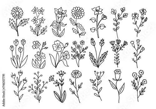 Collection set of hand drawn flowers. White line style color doodles vector illustration art.
