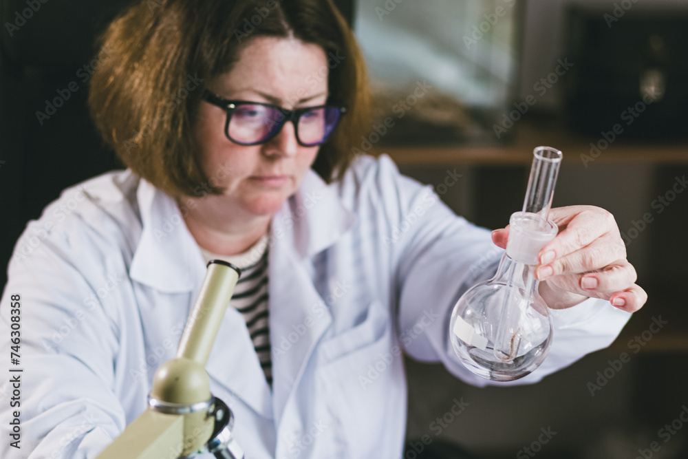 Focus on the test tube with scolopendra. Adult female researcher ...