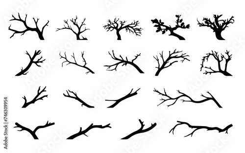 Hand drawn vector illustration sketch of trees